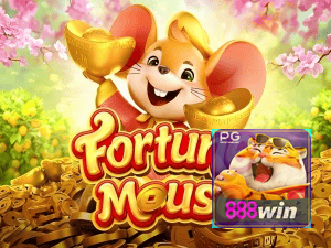 8888WIN login — configurações de segurança e proteção de conta
